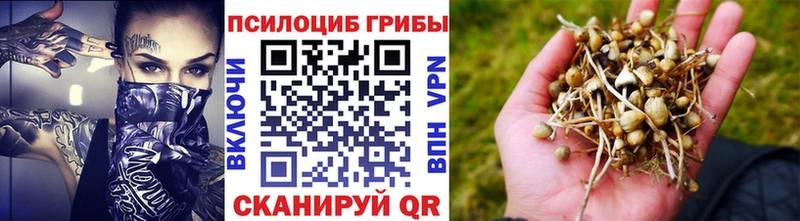 Галлюциногенные грибы Magic Shrooms Усть-Лабинск